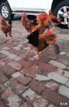 美人阁 哥们忍着吧，谁让你没车呢？哈哈