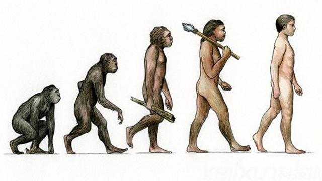 外星人|达尔文进化论漏洞百出，揭秘人类真正的起源，疑似外星人创造人类