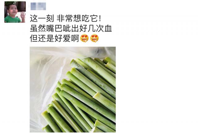 甘蔗|这种零食快绝迹了，网友直呼没见过