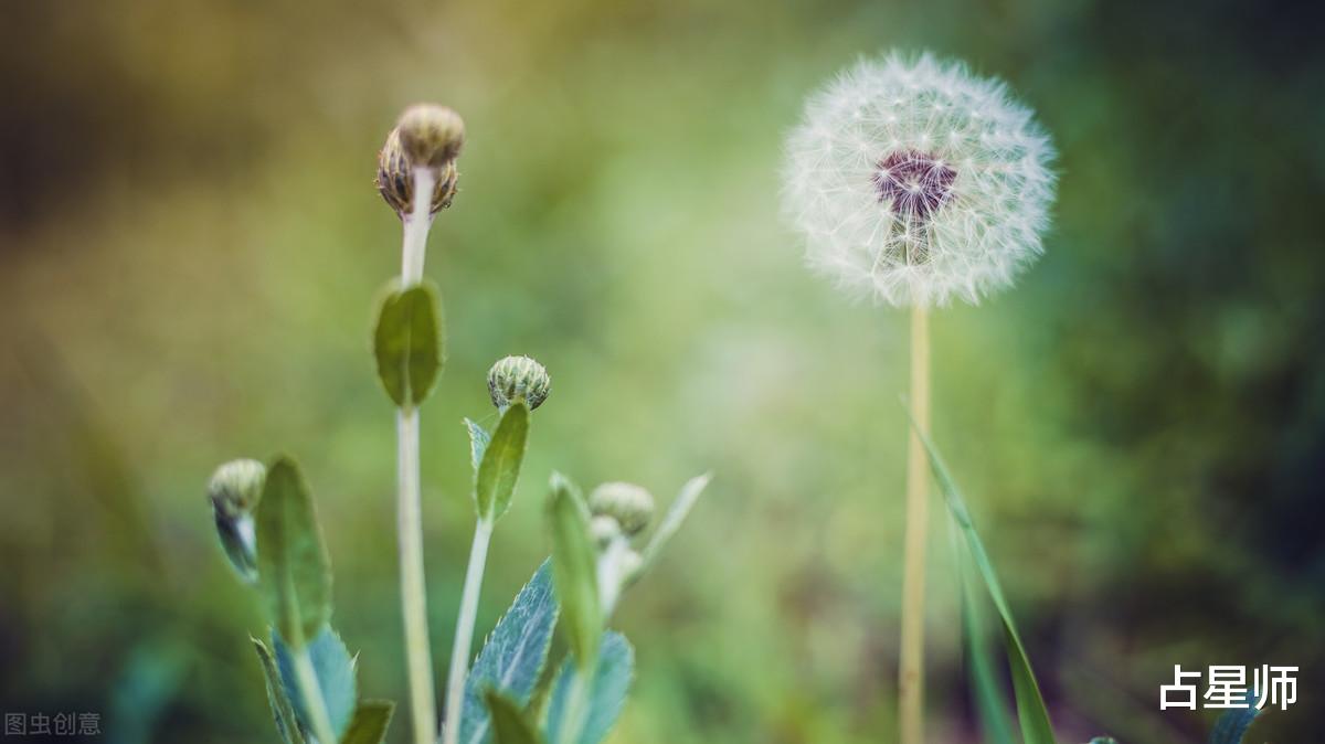 生肖|（周运）APP_7月27至8月2日星座运势：共度美好时光