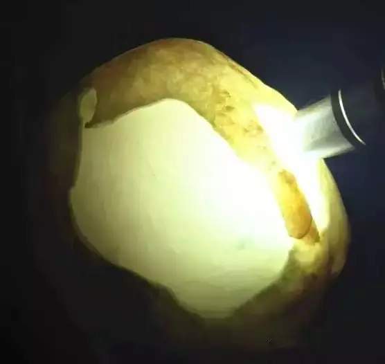 翡翠▲同样是300万切的石头，一刀下去，几家欢喜几家愁！