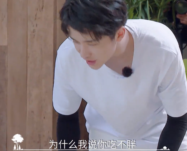 郑爽|郑爽不吃肉单独开小灶，张新成夸她身材棒！谭松韵饭量比男生还大