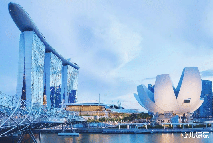 ##开放的新加坡不禁色,为什么要禁止在中国很随意的2件小事呢?