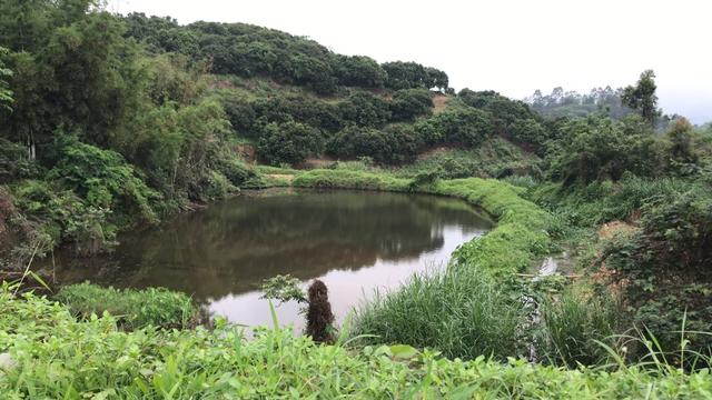 【】曾经无数钓鱼人挑战都屡屡失败的山涧野塘，今日前往探钓感慨万千