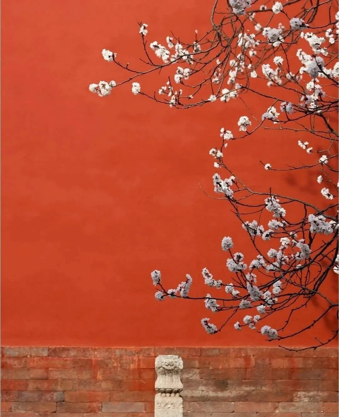 「重庆」30岁之前一定要完成的十场旅行