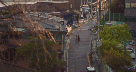 『张丰毅』不愧是顶流,刚回归就豆瓣9.2,还收视第一