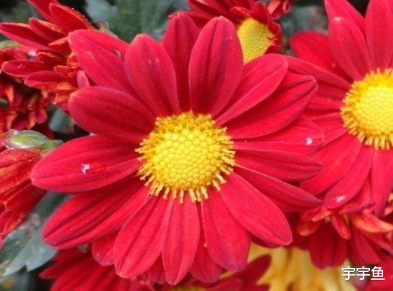 运势|进入9月,4属相接财神迎贵人,来财来福,财源滚滚,顺风顺水