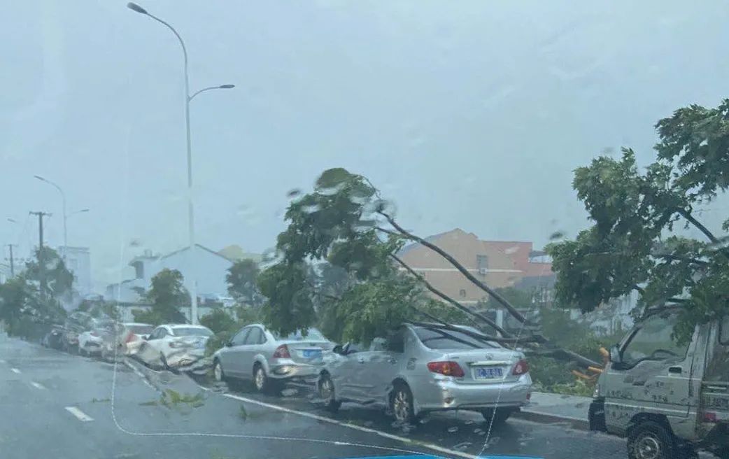 杭州日报|台风直奔杭州!下午到傍晚穿过,暴雨大风都要来!这些地区要特别当心...