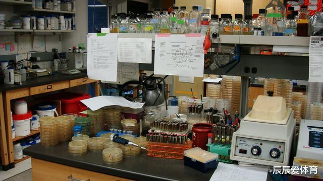 「基因」这位研究生周末偷个懒，却意外破解了啤酒的千古之谜