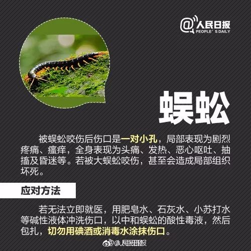 『蜱虫』又到高发季!浙江一医院连续接诊十几例,严重可致命,五一出游务必当心它...