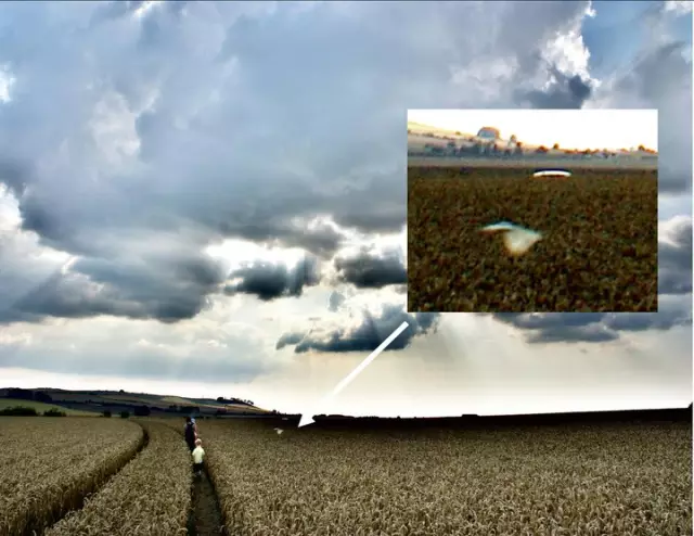 「麦田怪圈」仔细看看麦田怪圈里的植物，就知道人类不可能制造出这种东西！