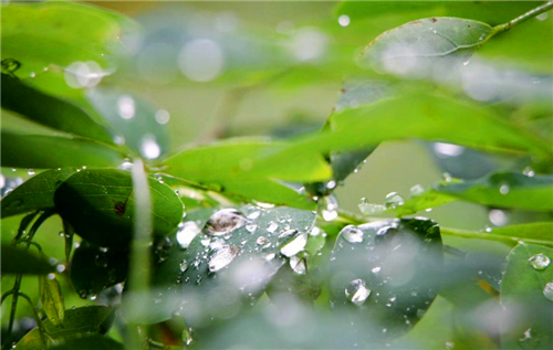 『』地球上下的最长的一场雨，持续了100万年之久，最后是怎么结束的