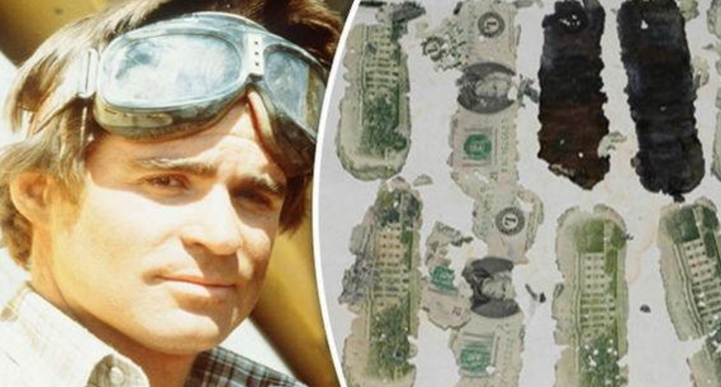 墨语笙歌|全球第一名劫机者，背着20万赎金跳机离去，后来结局如何