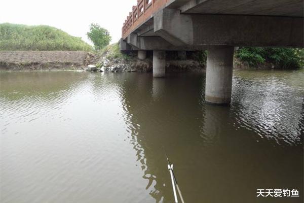 三伏天|三伏天野钓，鱼喜欢扎堆在这些地方，钓点选这些位置，一钓一个准