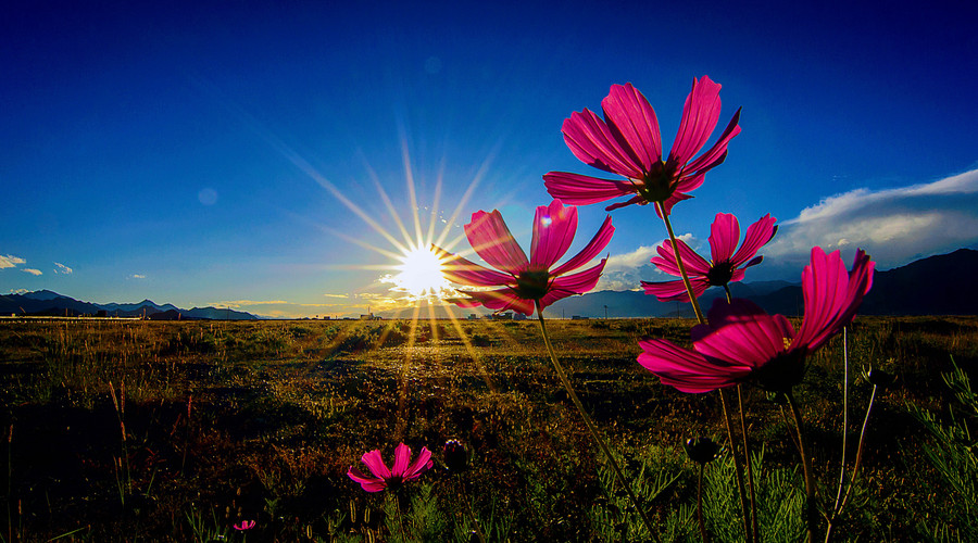 []5月中旬，财神进门，财路一路畅通，事业顺遂，渡过难关的属相