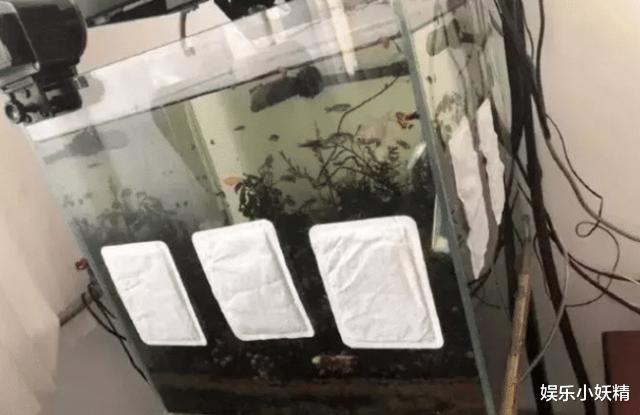 美颜|女友来我家过夜之后，觉得她很恶心！突然不喜欢她了！太过分了吧