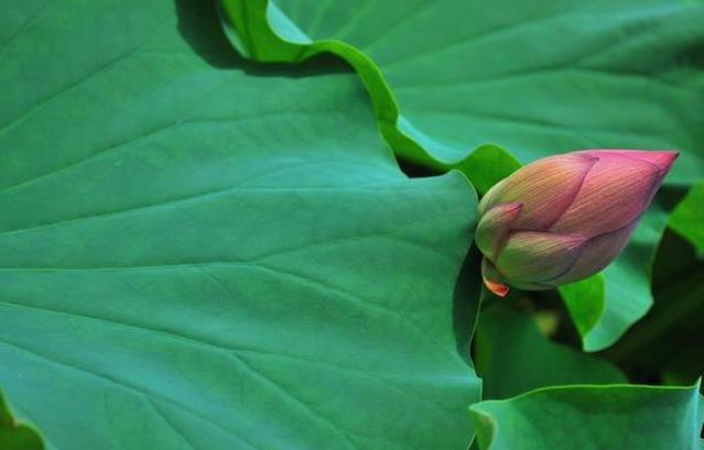 |一个人最大的错误，就是“和不要脸的人讲道理”