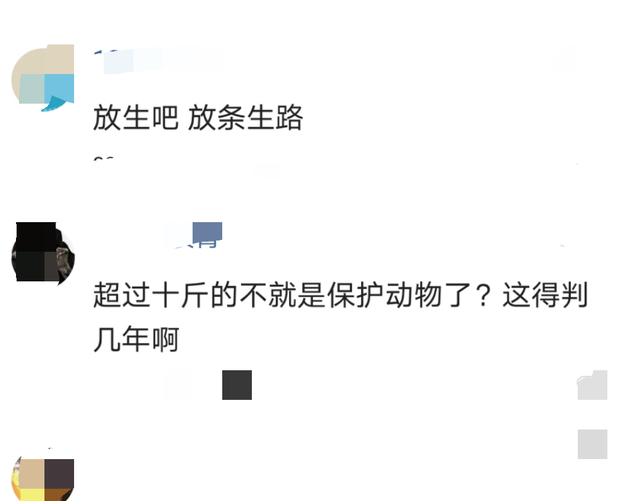 浙江省|大鱼王？浙江慈溪青鱼大王被人钓起，网友：不放生，合适吗？