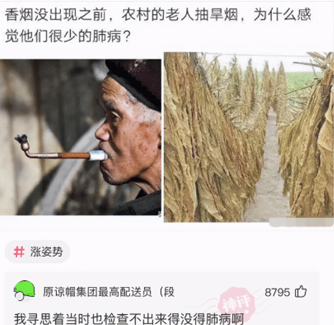 肺病|“香烟没出现之前，抽旱烟的人为什么很少得肺病？”神评很厉害