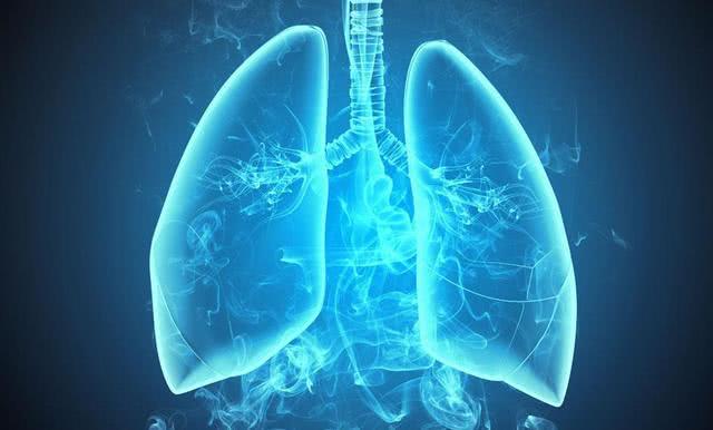 []为什么一个活着的人会下沉，而一个死去的人会浮在水上？