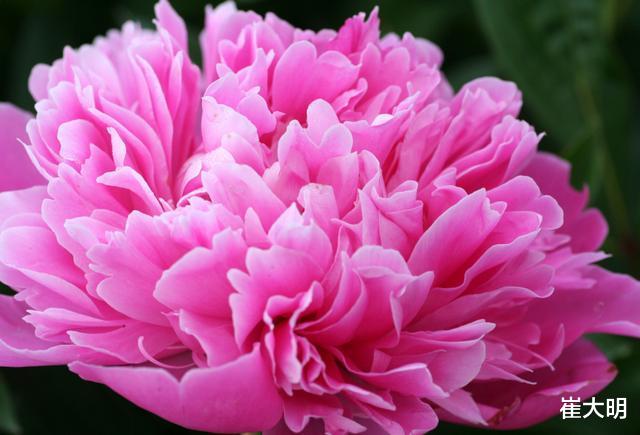 运势@恭喜,6月下旬,三大生肖苦尽甘来,整体运势攀升,踏入人生巅峰