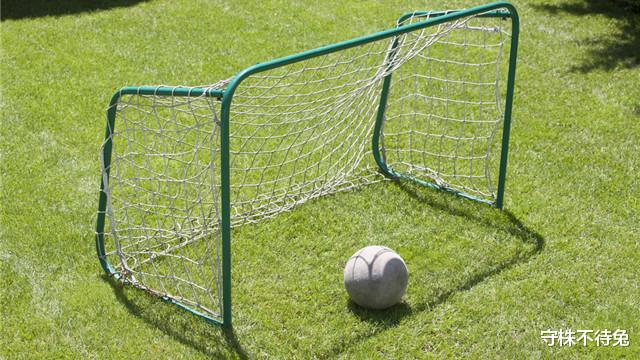 #鳄鱼#10个冷知识:没电的电池咬一下,为什么就能重新使用了