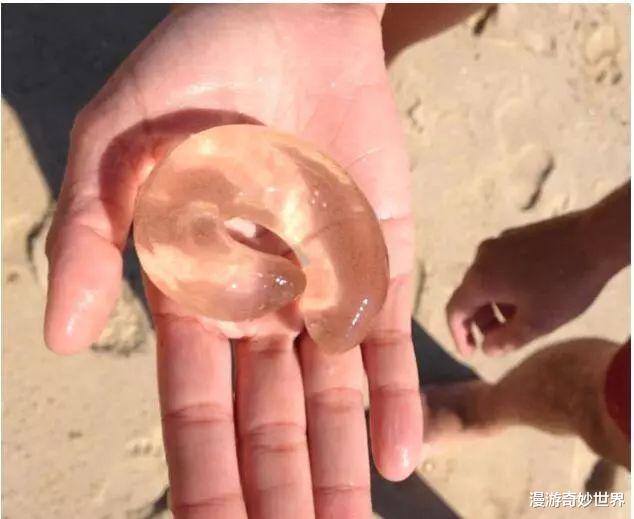 []网络有多恐怖？你问什么，万能的网友都能解答！