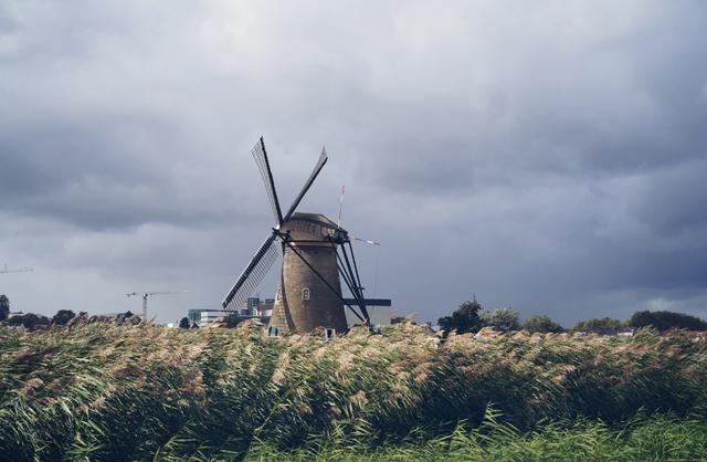 『荷兰』荷兰有多“开放”？大多数国家感觉脸红的事情，在这里都能见到