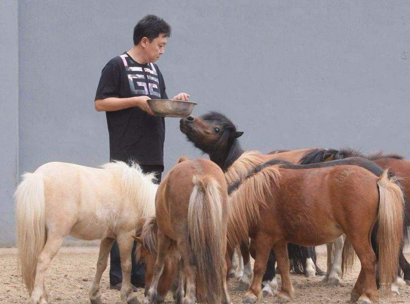 郭麒麟|高贵不是装的！跑男团骑马出场，小细节证明，只有郭麒麟是内行！