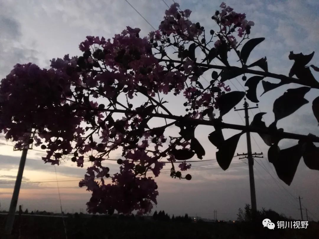 铜川周春辉 终南山下美丽乡村，余下镇后寨村
