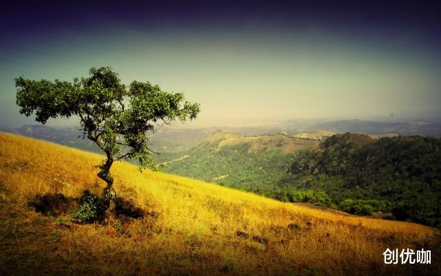 双鱼座|11月底，桃花运大好，爱情逆风回归，将再续前缘的3个星座