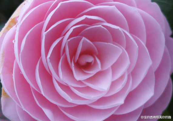 [属牛]进入7月，4属相大发横财，运势增长，富贵多金，生活幸福美满