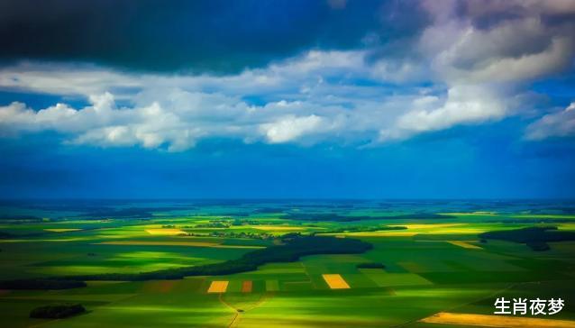 生肖|十月金秋，微风和煦，3生肖爱在当下，回头不难，此生为旧爱沉沦