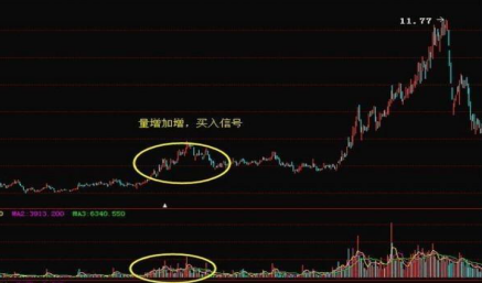 涨停|一个股民的成功，往往从学会看“量价”关系开始，你会吗？