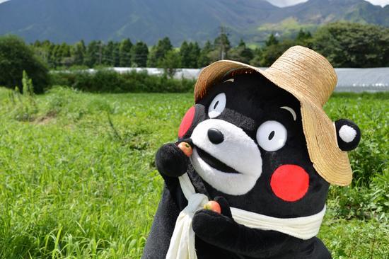 熊本熊：造梦盒马！\盒马先生\正式出道，代言费有点特殊！