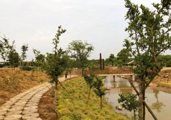 侵权|武汉一个村子飞到麻城境内，村民拿武汉社保，娶麻城媳妇