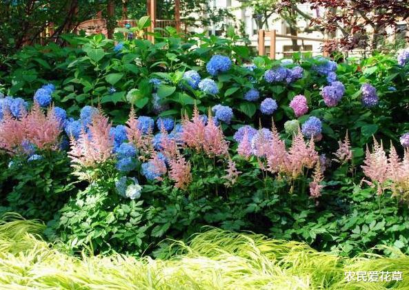 『』想让小院阳台美如“仙境”，需要“2个小技巧”，明眼人一看就会