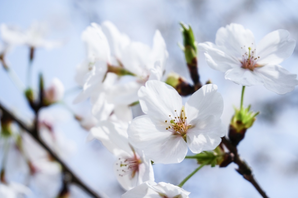 旧爱|独具韵味，让人一见倾心的星座女，相处起来很舒服