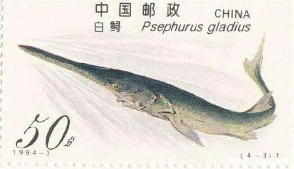 长江|全球六种动物留下的最后影像,都是已经灭绝的国宝级野生动物