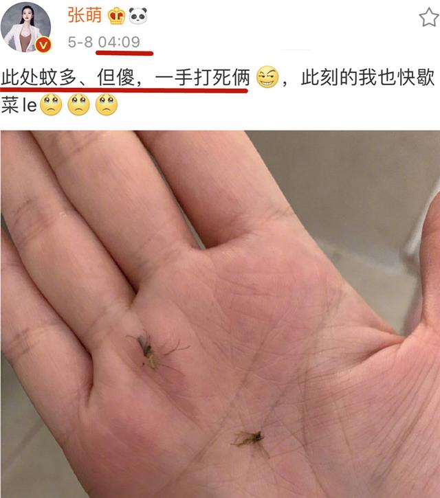 姐姐|《乘风破浪》姐姐们的宿舍分配名单曝光！我只关心宁静跟谁分一屋
