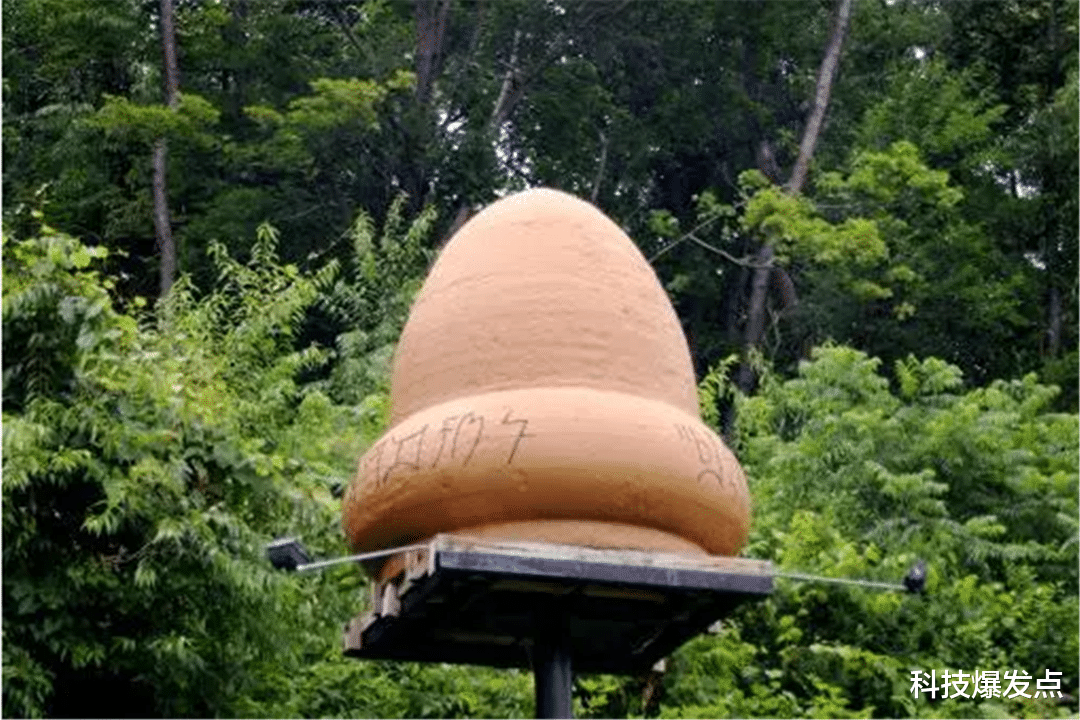外星人|波兰森林的垃圾，是外星人丢弃的？不明物体引阴谋论者猜测！