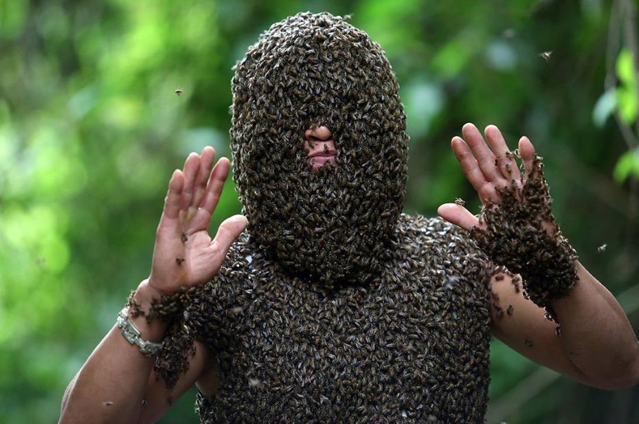 [蜜蜂]报复心最强的4种生物，其中一种即使掉了脑袋，也要把人咬垮