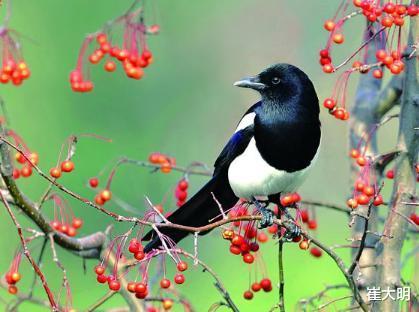 【生肖】7月份，喜事都来的3大生肖，旺桃花，发横财，事业好运一路狂飙！