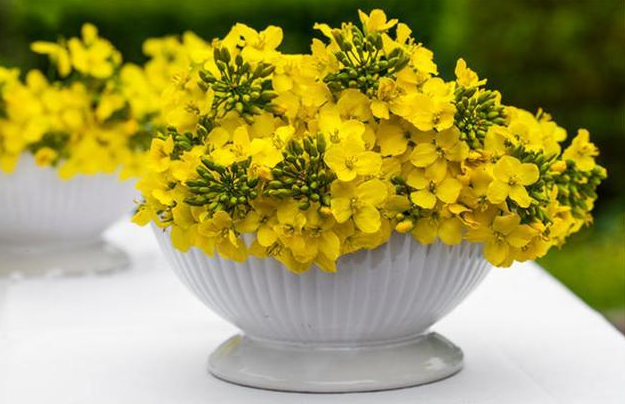 芋头|四类美食，堪称甲状腺结节“祸根”，赶紧管住嘴，否则结节很难好