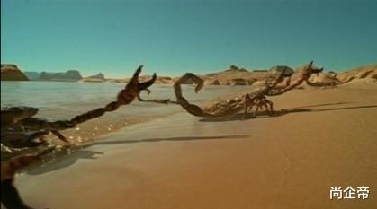 蝎子|“蝎子王，剧毒！这几种蝎子见了要躲开”