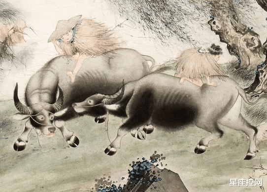 生肖|明年一到，4生肖不再苦海无边，事业和气生财，背后贵人相助