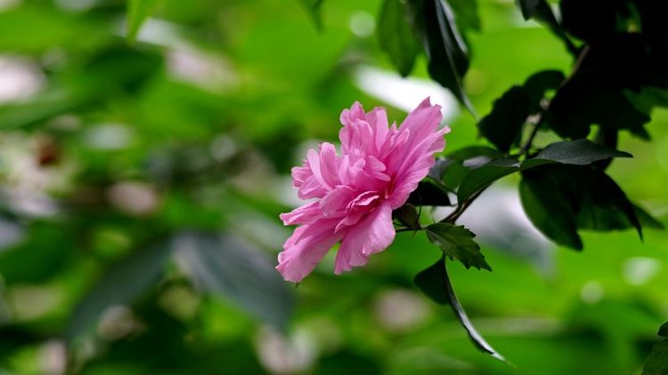 运势|8月下旬开始运势上升，事事顺遂，真爱找上门，事业攀升的4大星座