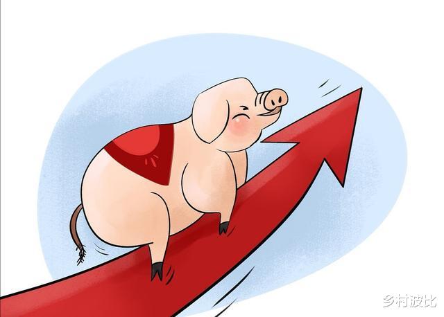 董明珠|九月即将结束，猪价迎来罕见大面积“反弹”，国庆猪价会如何？