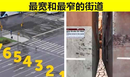 行星|真实存在于世界上的10个不同事物的极端比较