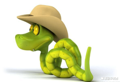 化石|能称得上是巨蟒的蛇有哪些?巨蟒的天敌是什么?